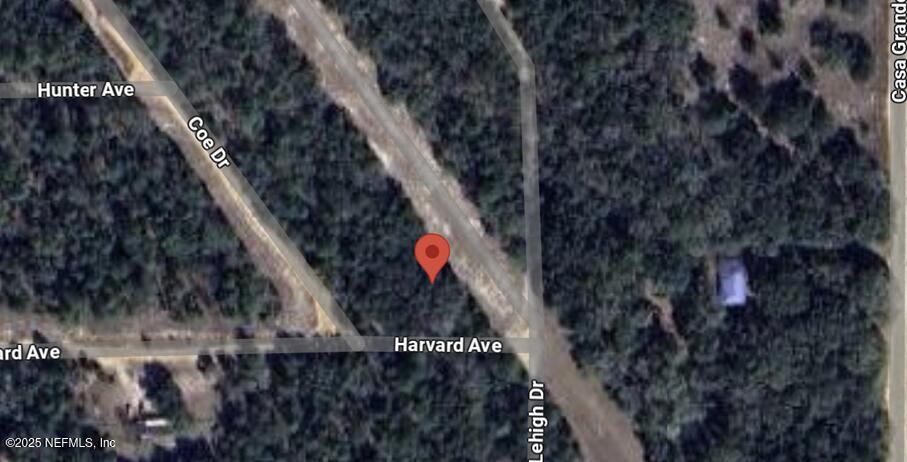 6030 Harvard Ave, Keystone Heights, FL 32656 - photo 1