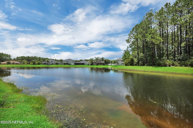 329 Trellis Bay Dr, Saint Augustine, FL 32092 - photo 48