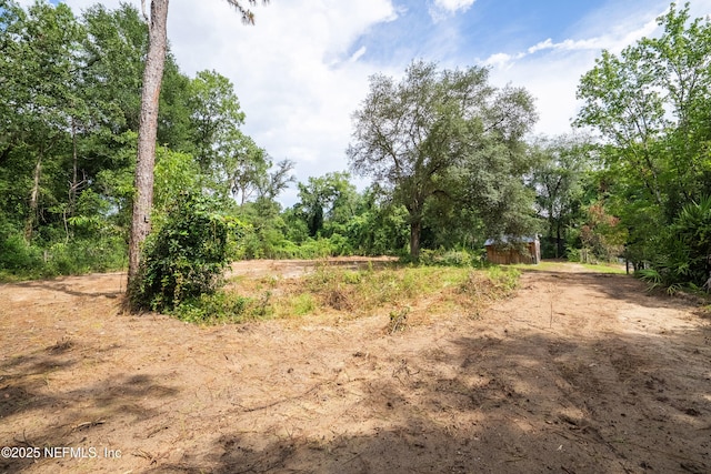 4410 Tarragon Ave, Middleburg, FL 32068 - photo 56