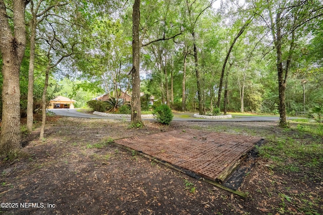 4410 Tarragon Ave, Middleburg, FL 32068 - photo 62