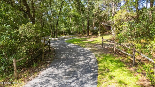 4410 Tarragon Ave, Middleburg, FL 32068 - photo 63