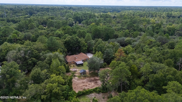 4410 Tarragon Ave, Middleburg, FL 32068 - photo 67