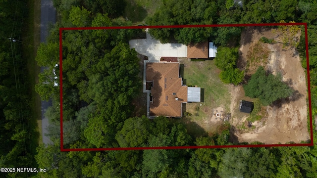 4410 Tarragon Ave, Middleburg, FL 32068 - photo 49