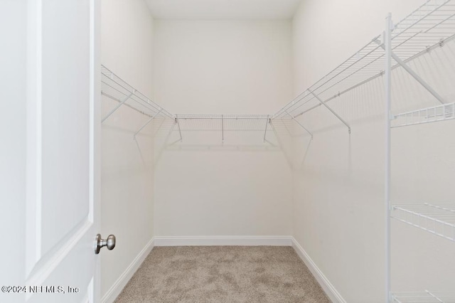 7888 Driggers St, Jacksonville, FL 32220 - photo 28