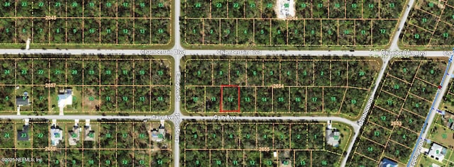 14222 Cain Ave, Port Charlotte, FL 33953 - photo 1