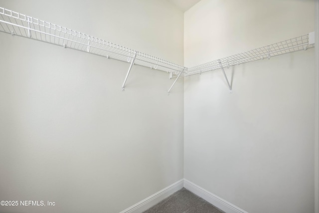 14 N Beach Way, Jacksonville Beach, FL 32250 - photo 17