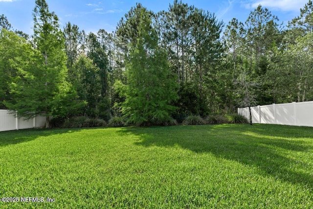 350 Brambly Vine Dr, Saint Johns, FL 32259 - photo 4