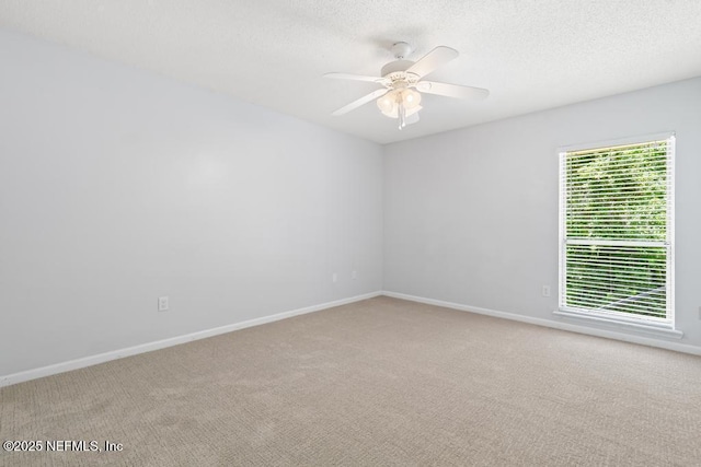 12152 Dividing Oaks Trl W, Jacksonville, FL 32223 - photo 36