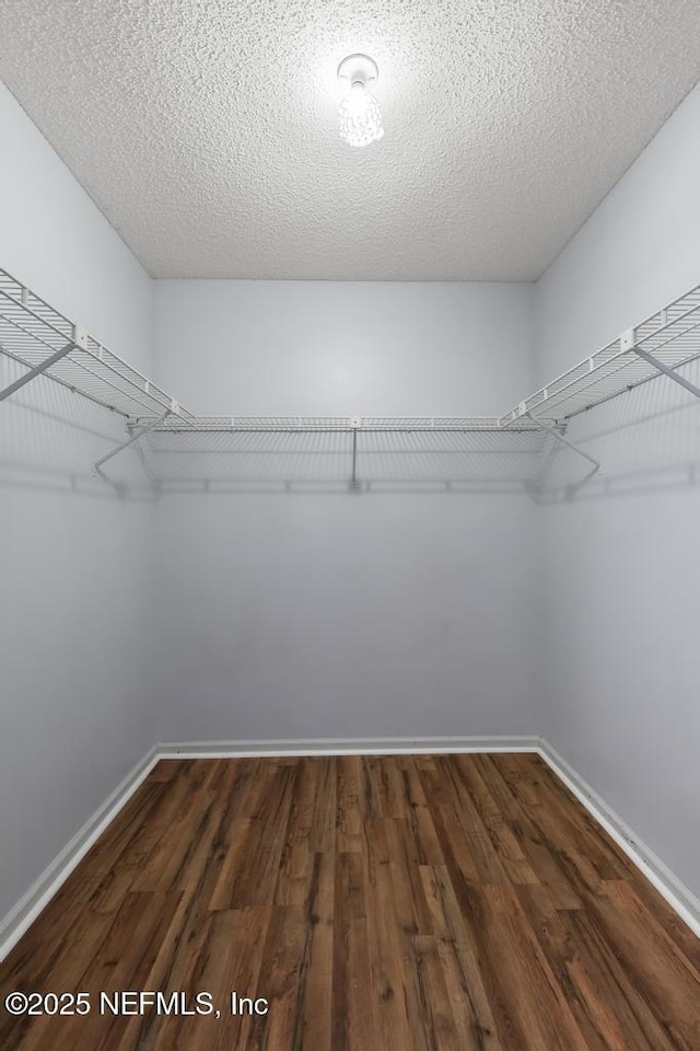 12152 Dividing Oaks Trl W, Jacksonville, FL 32223 - photo 51