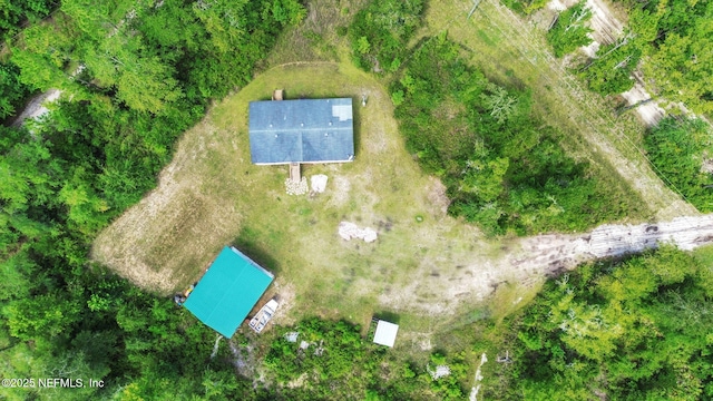 4293 Osceola Trl, Middleburg, FL 32068 - photo 38