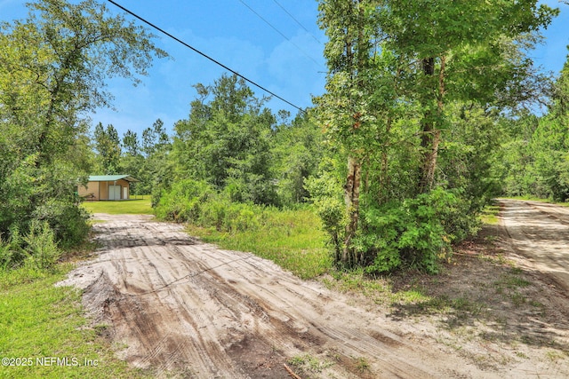 4293 Osceola Trl, Middleburg, FL 32068 - photo 28