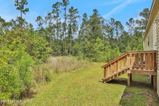 4293 Osceola Trl, Middleburg, FL 32068 - photo 33