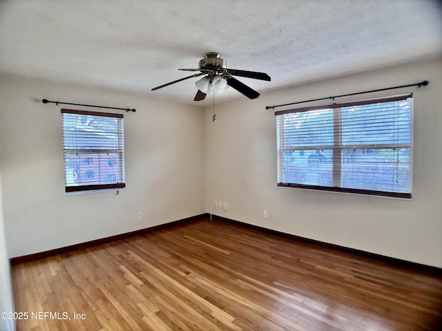 4615 Anvers Blvd, Jacksonville, FL 32210 - photo 21