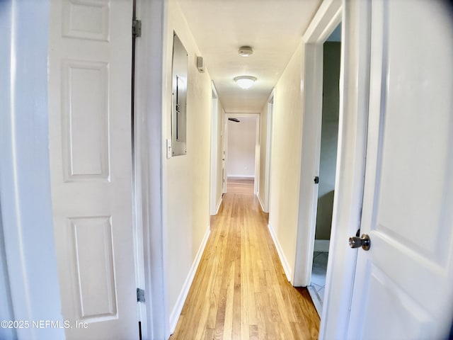 4615 Anvers Blvd, Jacksonville, FL 32210 - photo 18
