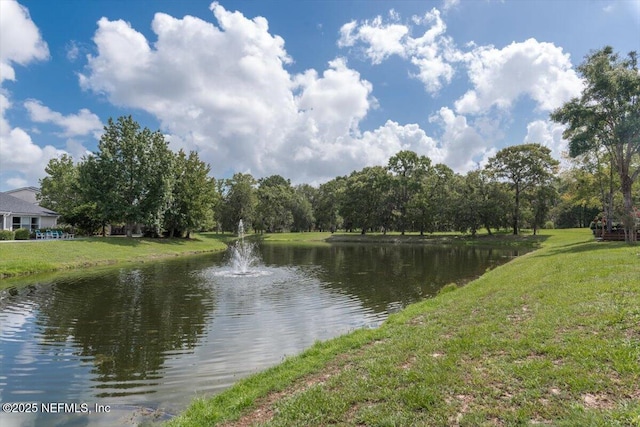 3882 Green View Ter, Middleburg, FL 32068 - photo 46