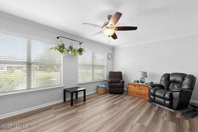 3882 Green View Ter, Middleburg, FL 32068 - photo 29