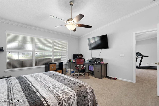 3882 Green View Ter, Middleburg, FL 32068 - photo 25