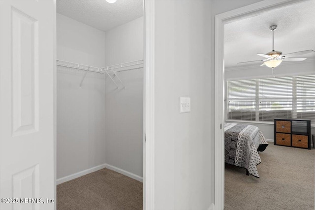 3882 Green View Ter, Middleburg, FL 32068 - photo 27