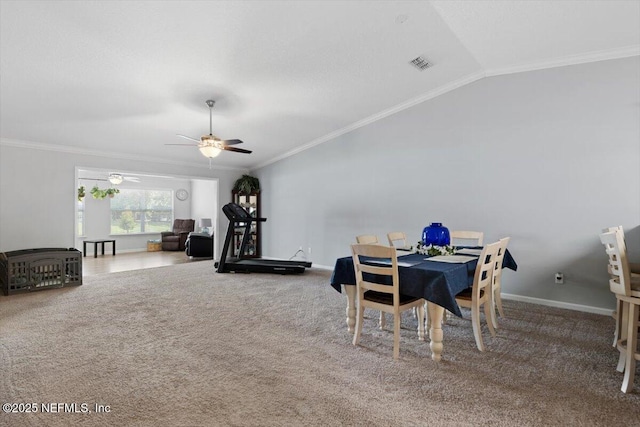 3882 Green View Ter, Middleburg, FL 32068 - photo 28