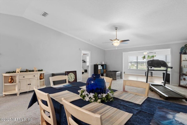 3882 Green View Ter, Middleburg, FL 32068 - photo 20