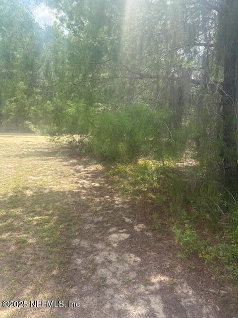 103 Jones St, Interlachen, FL 32148 - photo 8