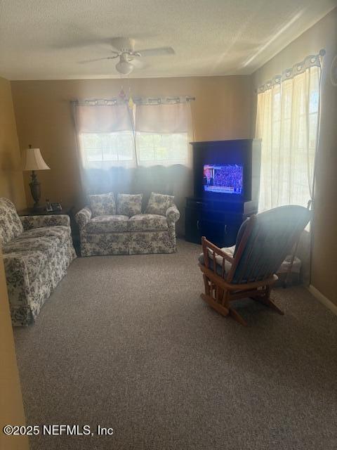 103 Jones St, Interlachen, FL 32148 - photo 30