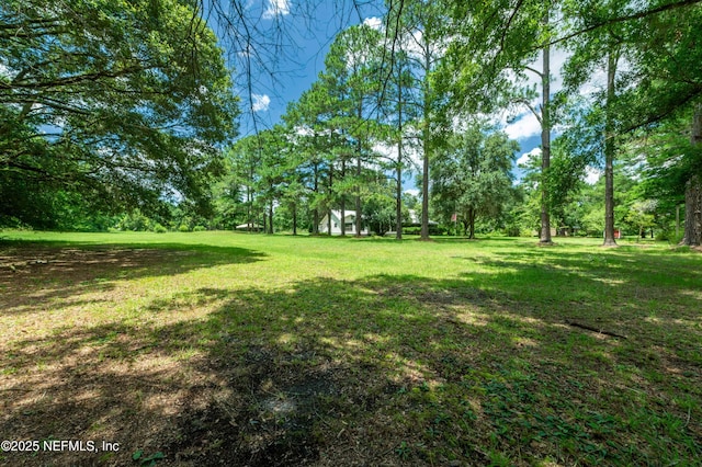 55289 Gressman Rd, Callahan, FL 32011 - photo 2