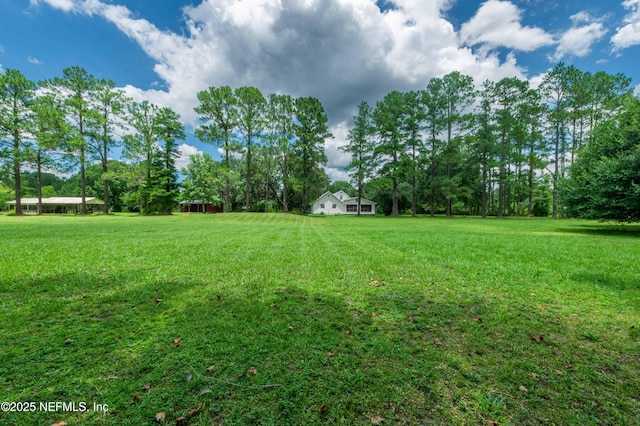55289 Gressman Rd, Callahan, FL 32011 - photo 3