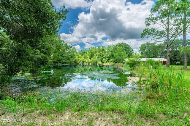55289 Gressman Rd, Callahan, FL 32011 - photo 5