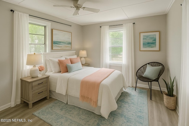 867 Aiken St, Saint Augustine, FL 32084 - photo 10