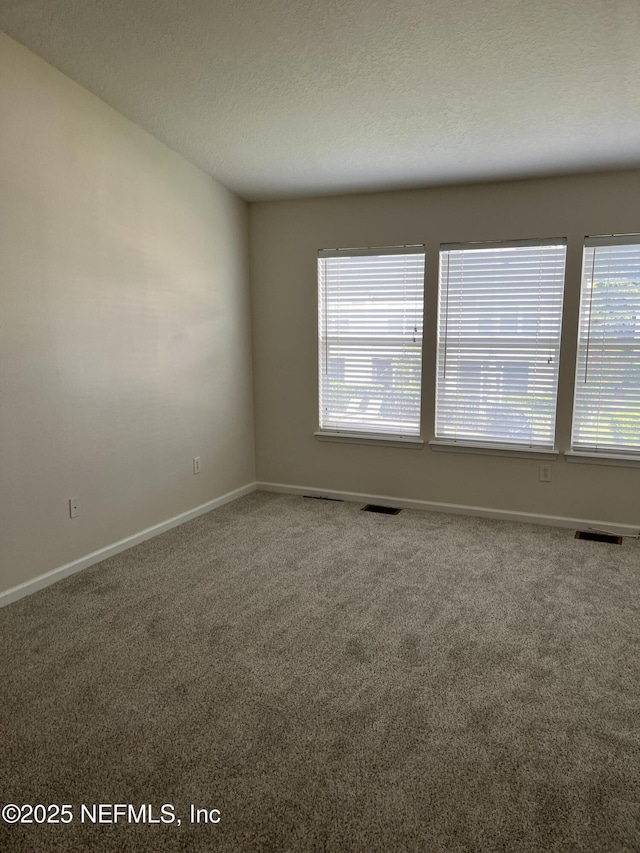 6818 Arching Branch Cir, Jacksonville, FL 32258 - photo 9