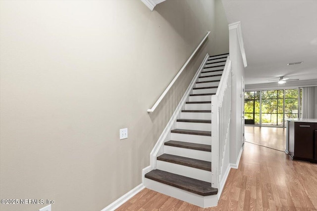 7552 Scarlet Ibis Ln, Jacksonville, FL 32256 - photo 5