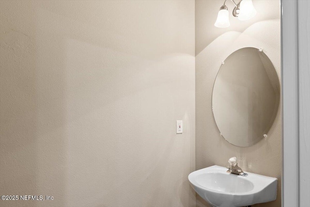 7552 Scarlet Ibis Ln, Jacksonville, FL 32256 - photo 22