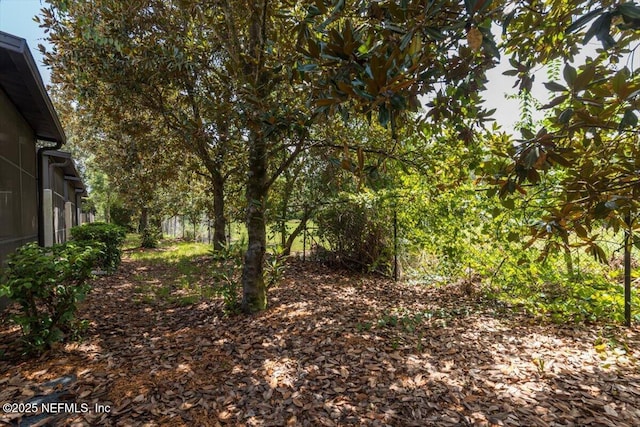 7552 Scarlet Ibis Ln, Jacksonville, FL 32256 - photo 47