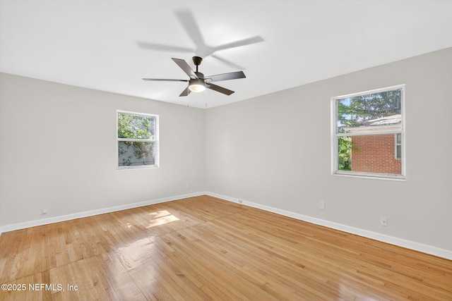 2651 Glen Mawr Rd, Jacksonville, FL 32207 - photo 19