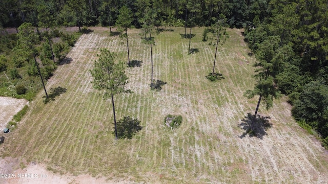 15562 County Road 108, Hilliard, FL 32046 - photo 6