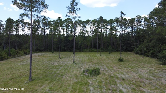 15562 County Road 108, Hilliard, FL 32046 - photo 14