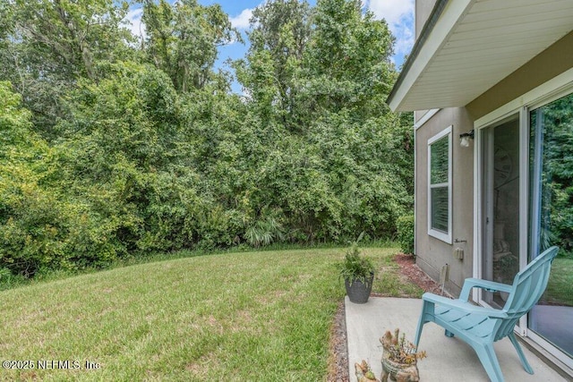 338 Servia Dr, Saint Johns, FL 32259 - photo 37