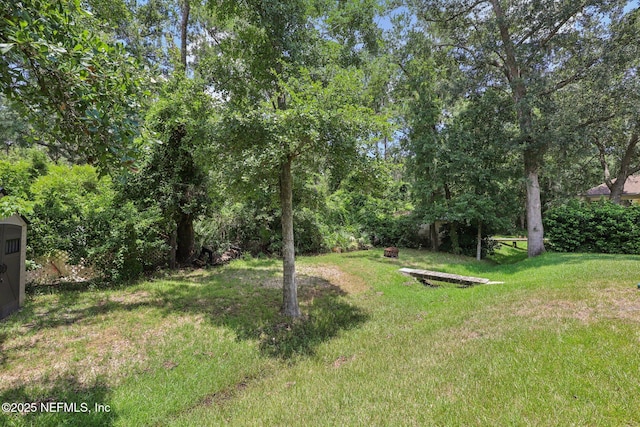 14327 Fish Eagle Dr E, Jacksonville, FL 32226 - photo 43