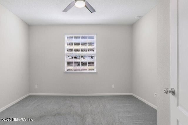 81 Purus Way, Saint Johns, FL 32259 - photo 29