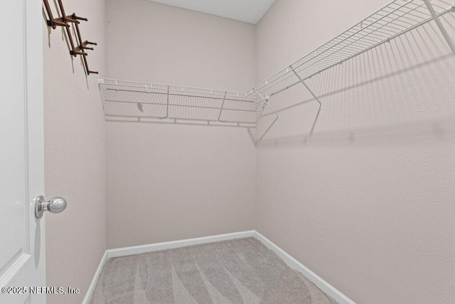 81 Purus Way, Saint Johns, FL 32259 - photo 25