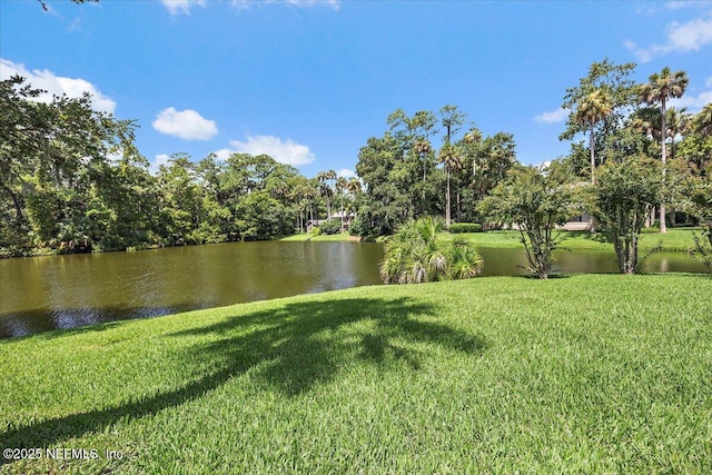 2011 Palmetto Point Dr, Ponte Vedra Beach, FL 32082 - photo 29