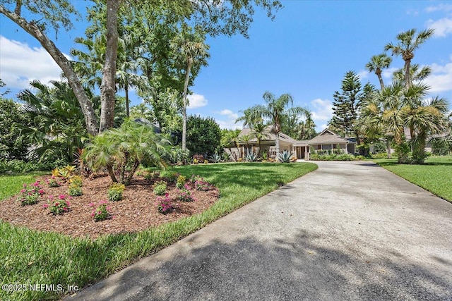 2011 Palmetto Point Dr, Ponte Vedra Beach, FL 32082 - photo 34