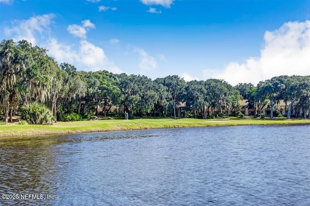 3119 Sea Marsh Rd, Fernandina Beach, FL 32034 - photo 66