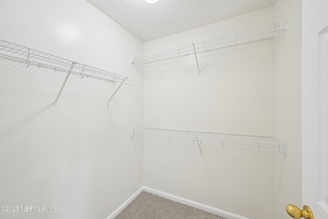 1405 Riva Del Garda Way, Saint Augustine, FL 32092 - photo 38