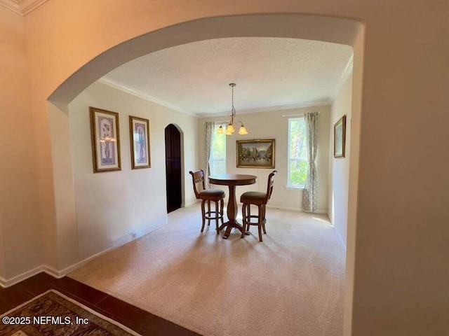 454 Cypress Trails Dr, Jacksonville, FL 32081 - photo 8