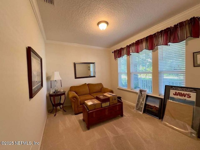454 Cypress Trails Dr, Jacksonville, FL 32081 - photo 10