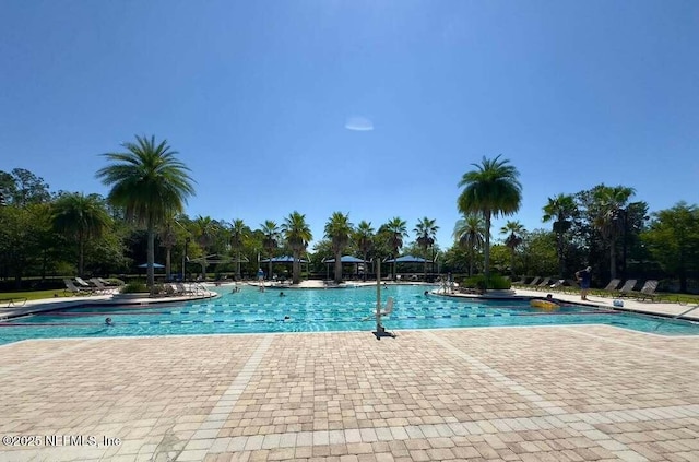 454 Cypress Trails Dr, Jacksonville, FL 32081 - photo 46