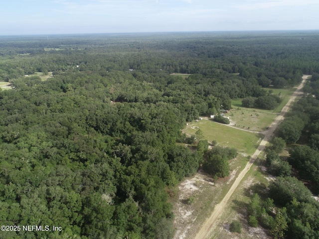 125 Ranchette Cir, Florahome, FL 32140 - photo 3