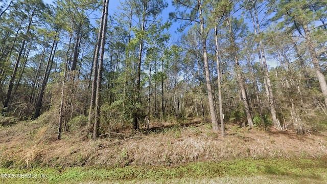 10675 Delgado Ave, Hastings, FL 32145 - photo 1
